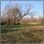 AUCTION ITEM:gg0127M013t.jpg