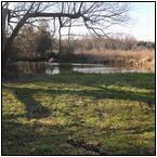 AUCTION ITEM:gg0127M014t.jpg