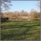 AUCTION ITEM:gg0127M015t.jpg