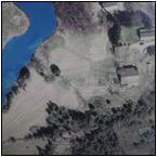 AUCTION ITEM:gg0127M016t.jpg