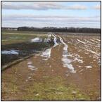 AUCTION ITEM:gg0330M010t.jpg