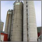 AUCTION ITEM:gg0413M019t.jpg