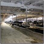 AUCTION ITEM:gg0413M021t.jpg