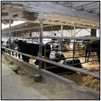 AUCTION ITEM:gg0413M022t.jpg