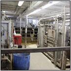 AUCTION ITEM:gg0413M023t.jpg