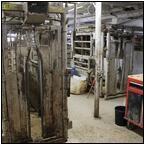 AUCTION ITEM:gg0413M024t.jpg