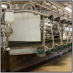 AUCTION ITEM:gg0413M026t.jpg