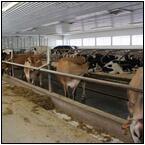 AUCTION ITEM:gg0413M027t.jpg