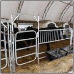 AUCTION ITEM:gg0414M007t.jpg