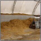 AUCTION ITEM:gg0414M008t.jpg