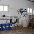 AUCTION ITEM:gg0414M010t.jpg