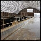 AUCTION ITEM:gg0414M012t.jpg