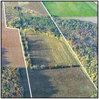 AUCTION ITEM:gg0415M001t.jpg