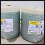 AUCTION ITEM:gg0522P006t.jpg