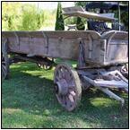 AUCTION ITEM:gg1108M035t.jpg