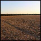 AUCTION ITEM:gg1203M035t.jpg