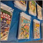 AUCTION ITEM:gh0213M112t.jpg