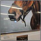 AUCTION ITEM:gh0328M010t.jpg