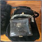 AUCTION ITEM:gh0617M055t.jpg