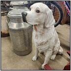 AUCTION ITEM:gh0617M072t.jpg