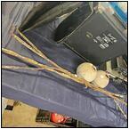 AUCTION ITEM:gh0617M078t.jpg
