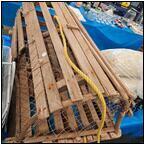 AUCTION ITEM:gh0812M024t.jpg