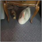 AUCTION ITEM:gj0204M018t.jpg