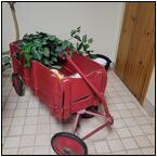 AUCTION ITEM:gj0415M016t.jpg