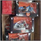 AUCTION ITEM:gj0707M002t.jpg