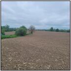 AUCTION ITEM:gj0724M021t.jpg