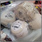 AUCTION ITEM:gj0825M001t.jpg