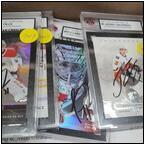 AUCTION ITEM:gj0929M004t.jpg