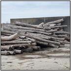 AUCTION ITEM:gs0418B030t.jpg