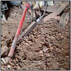 AUCTION ITEM:gs0418B031t.jpg