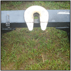 AUCTION ITEM:gs0530E027t.jpg