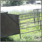 AUCTION ITEM:gs0621B010t.jpg