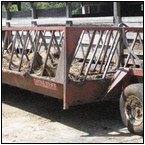AUCTION ITEM:gs0621B020t.jpg