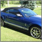 AUCTION ITEM:gs0718M001t.jpg