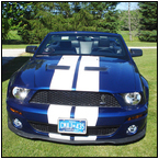 AUCTION ITEM:gs0718M002t.jpg