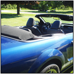 AUCTION ITEM:gs0718M004t.jpg