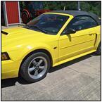 AUCTION ITEM:gs0822A002t.jpg