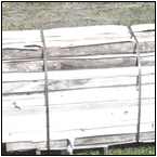 AUCTION ITEM:gs0924A036t.jpg