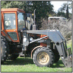 AUCTION ITEM:gs0924B018t.jpg