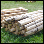 AUCTION ITEM:gs1003A002t.jpg