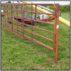 AUCTION ITEM:gs1003B006t.jpg