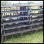 AUCTION ITEM:gs1003B008t.jpg