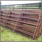 AUCTION ITEM:gs1003B009t.jpg