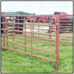 AUCTION ITEM:gs1003B010t.jpg