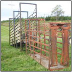 AUCTION ITEM:gs1003C007t.jpg