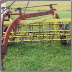 AUCTION ITEM:gs1003C019t.jpg
